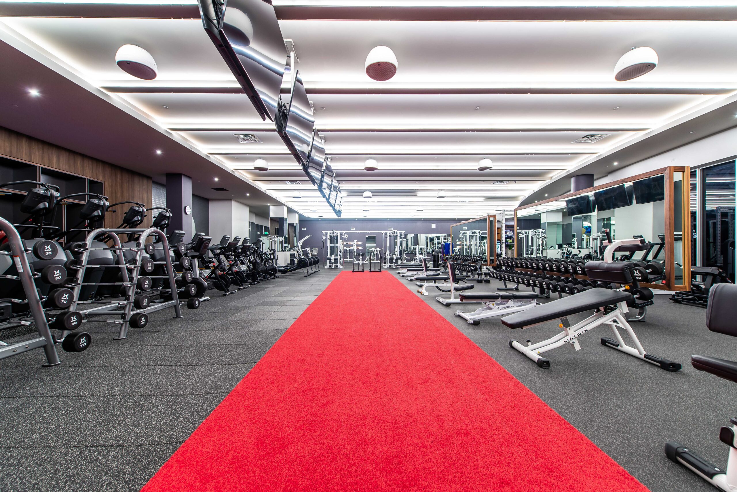 Anatomy Coconut Grove gym fitness