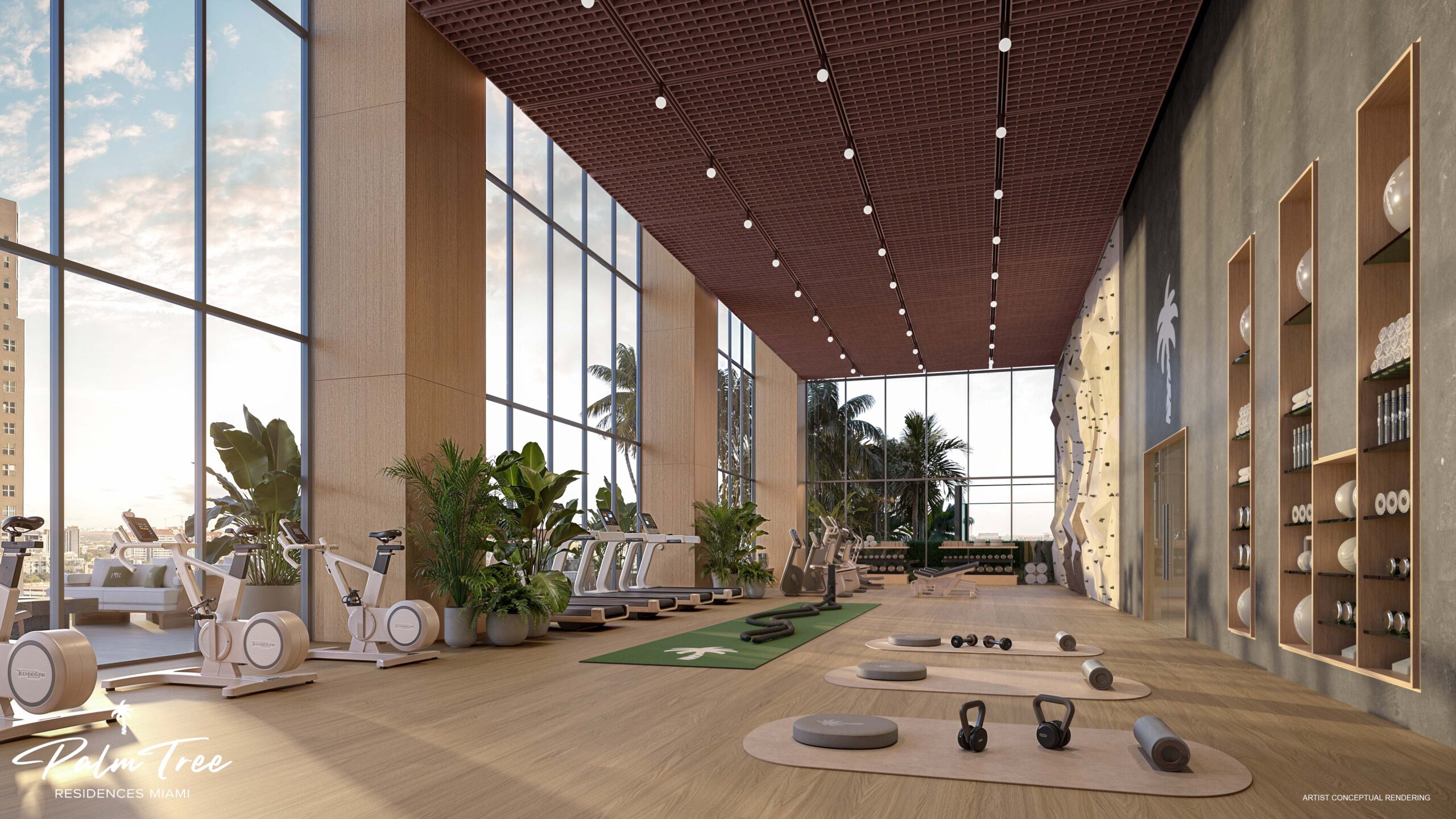 Palm Tree Residences fitness center with climbing wall and Technogym equipment